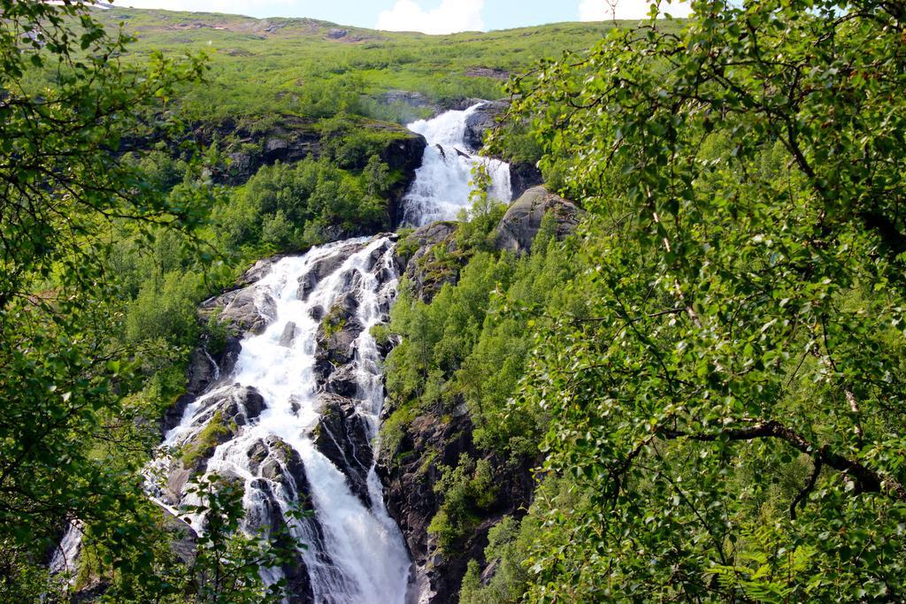Skysstasjonen Cottages Рёльдаль Экстерьер фото